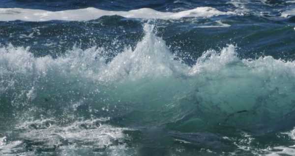 Scientists Find Proof of 'Supershear Boomerang' Earthquake Having Rocked Atlantic Ocean Seabed