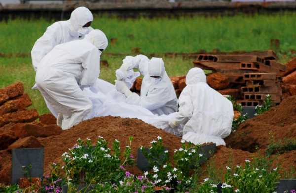 What is the deadly Nipah virus?