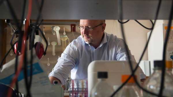 Enemy turned ally: Poliovirus is used to fight brain tumors