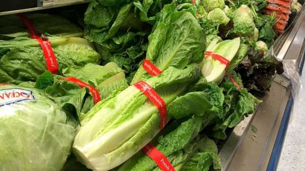 4 more deaths reported from E. coli outbreak linked to romaine lettuce: CDC