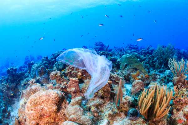 We know ocean plastic is a problem. We can’t fix it until we answer these 5 questions.