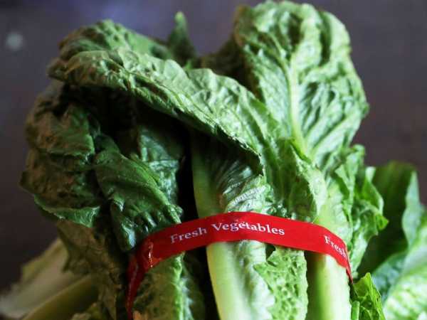 CDC warns against eating romaine lettuce after E. coli outbreak
