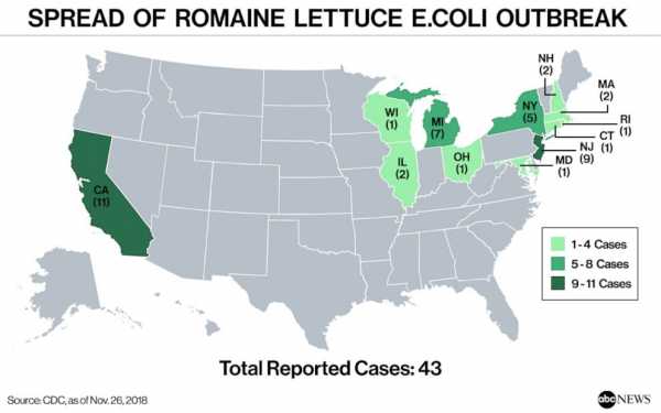 FDA says some romaine lettuce is safe to eat after E. coli outbreak