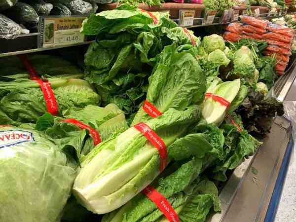 Some romaine lettuce is safe to eat after E. coli outbreak, but caution urged