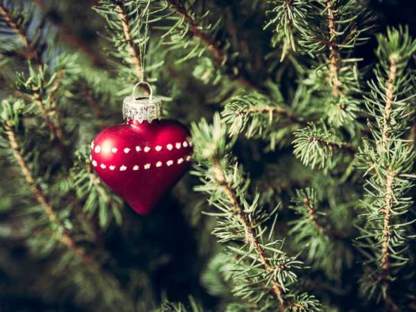 The risk of heart attack peaks on Christmas Eve, according to a new study