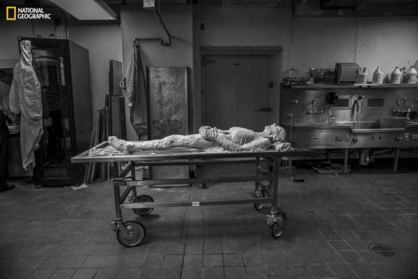 Why one woman agreed to become an 'Immortal Corpse' for science