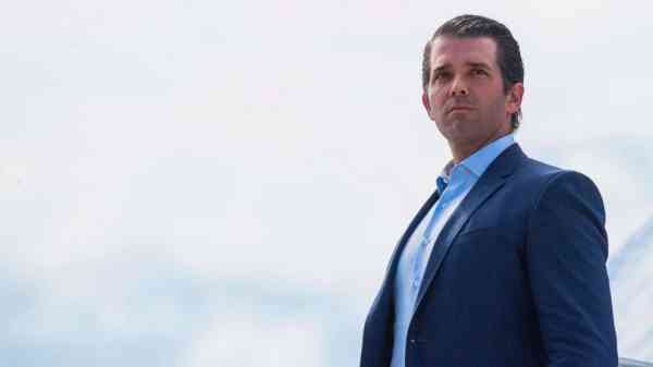 Michael Cohen's admission could put Don Jr., Trump Org staff in the crosshairs