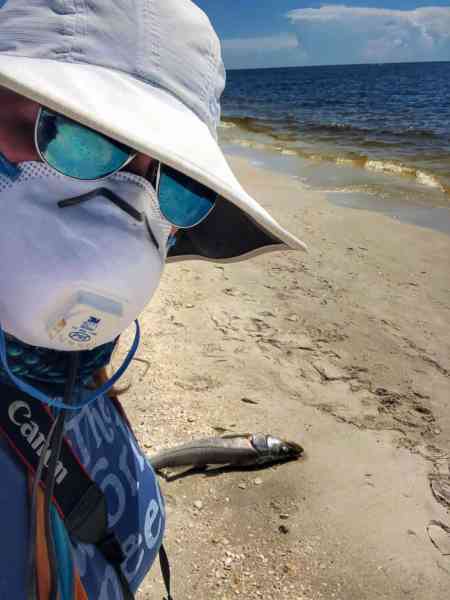 'When is this going to stop?': Activist highlights impact of red tide in Florida