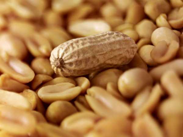 1 in 10 American adults have food allergies, but nearly twice as many think they do 