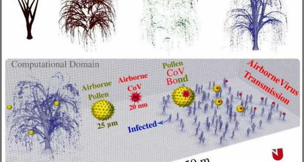 Tree Pollen Can Transport Viruses Like COVID-19 Meters Away, Increasing Infection, Study Says