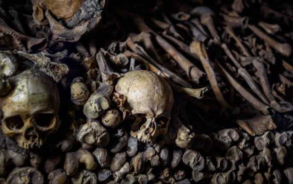 Mass Grave Found Near Nazi German Concentration Camp in Western Russia